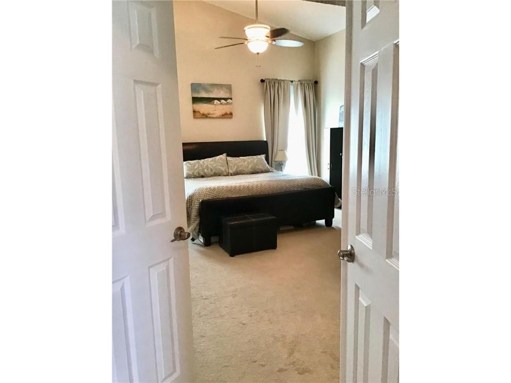 3662 Chatham Drive Palm Harbor FL 34684 TB8448590 image5