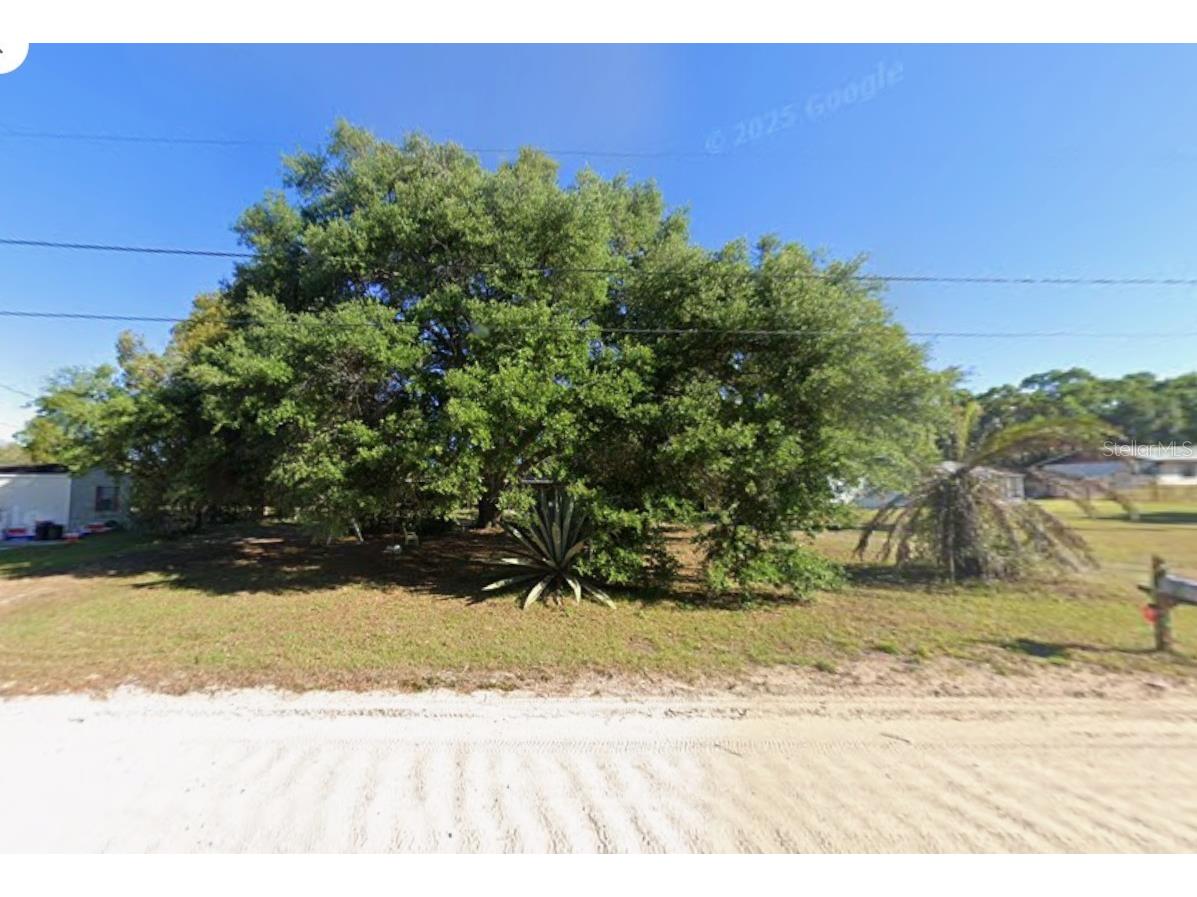 36625 Cord Street Zephyrhills FL 33541 TB8457870 image1