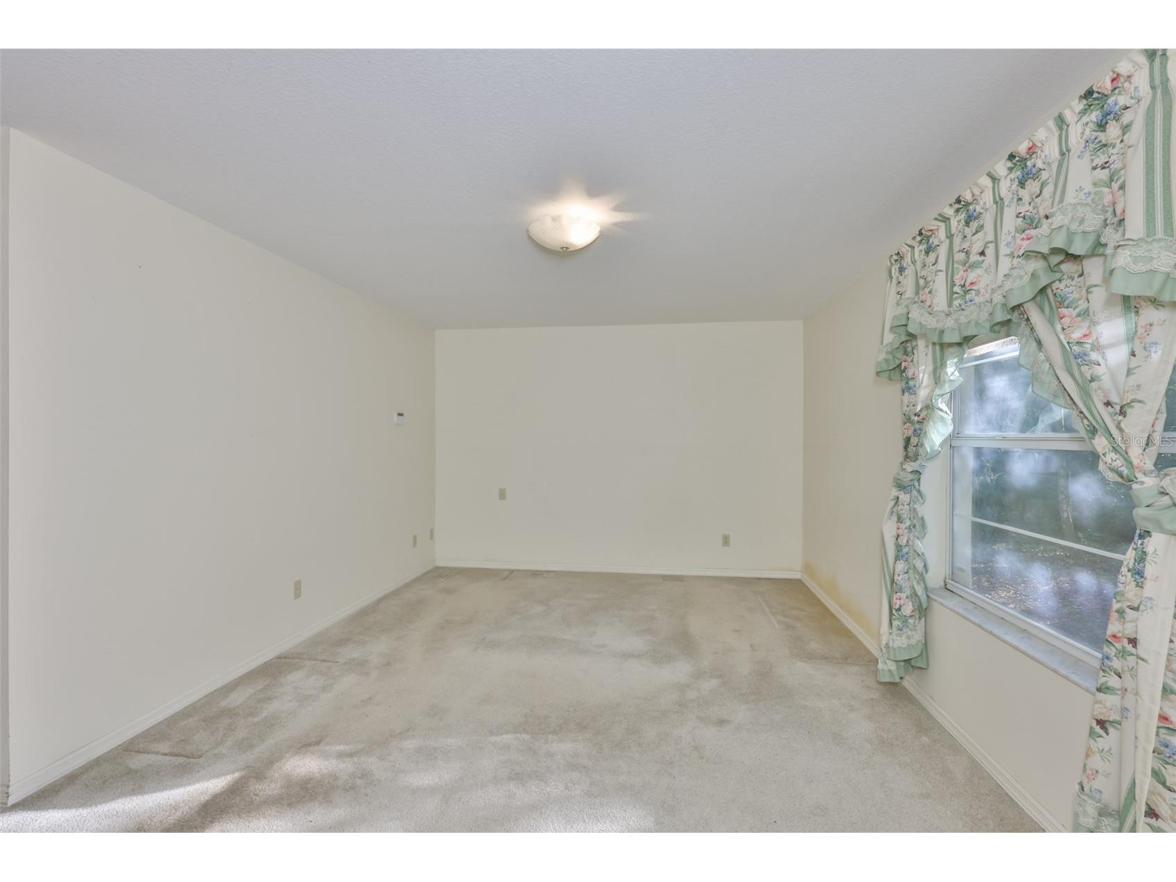 36625 Lake Pasadena Road Dade City FL 33525 TB8516851 image14