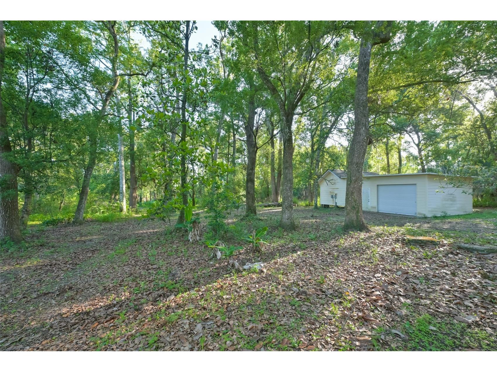 36625 Lake Pasadena Road Dade City FL 33525 TB8516851 image33