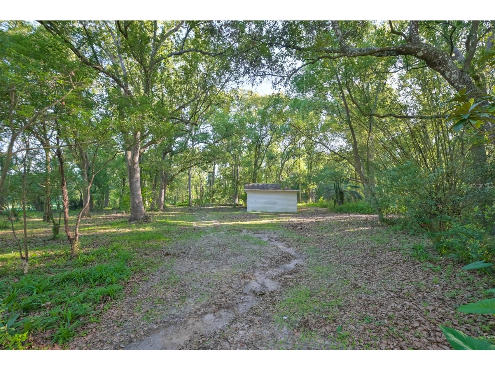 36625 Lake Pasadena Road Dade City FL 33525 TB8516851 image34