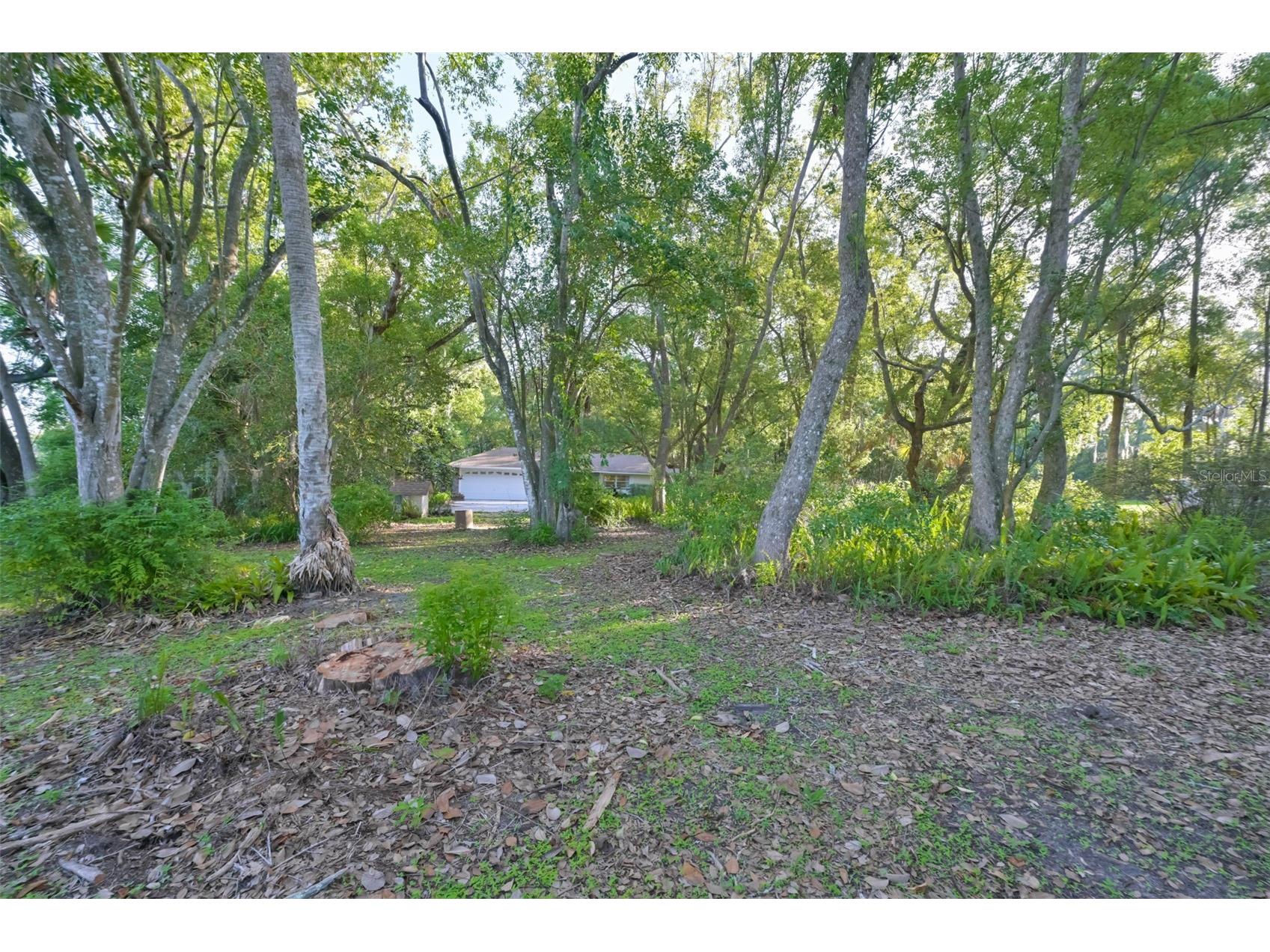 36625 Lake Pasadena Road Dade City FL 33525 TB8516851 image37