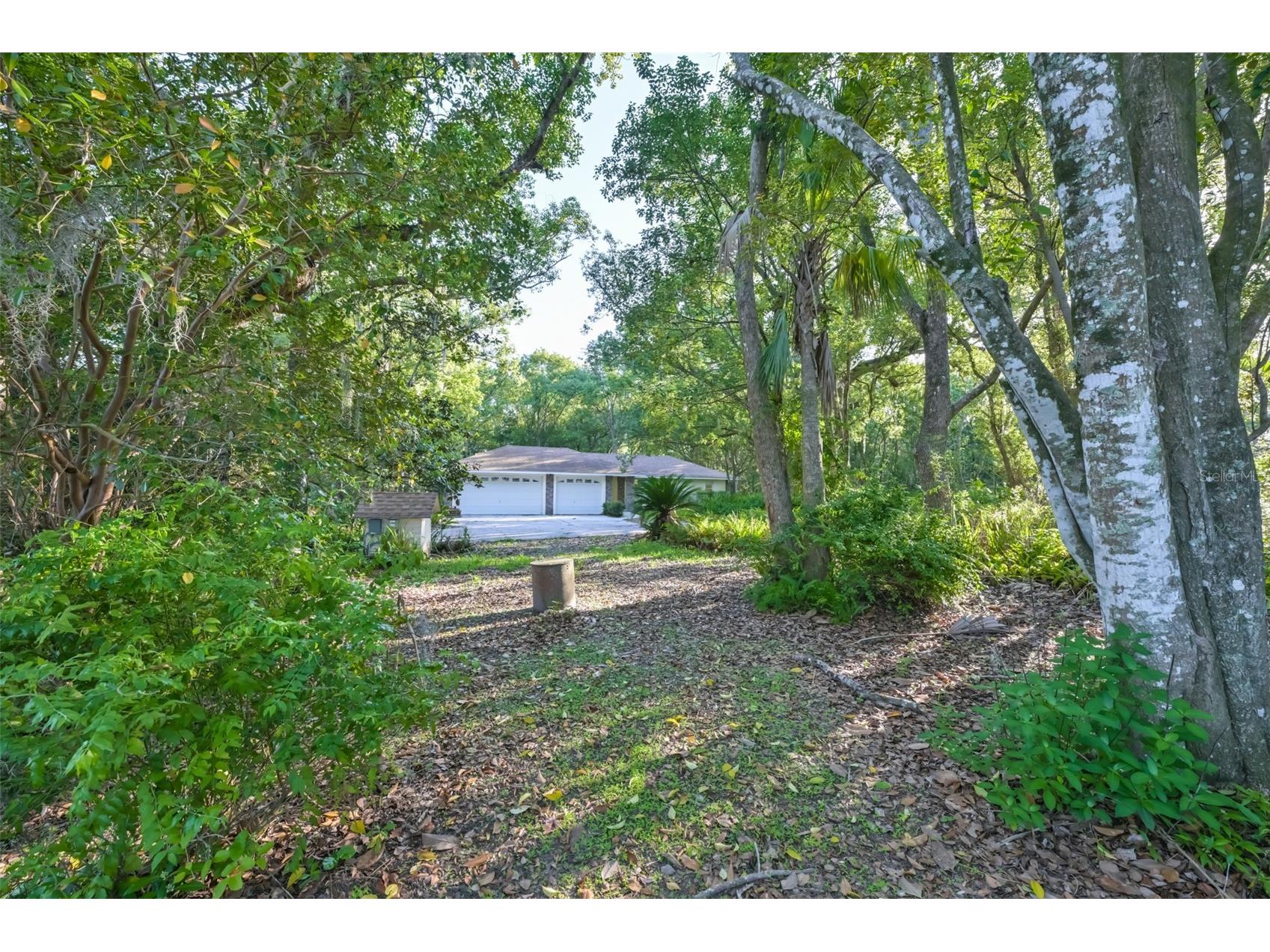 36625 Lake Pasadena Road Dade City FL 33525 TB8516851 image38