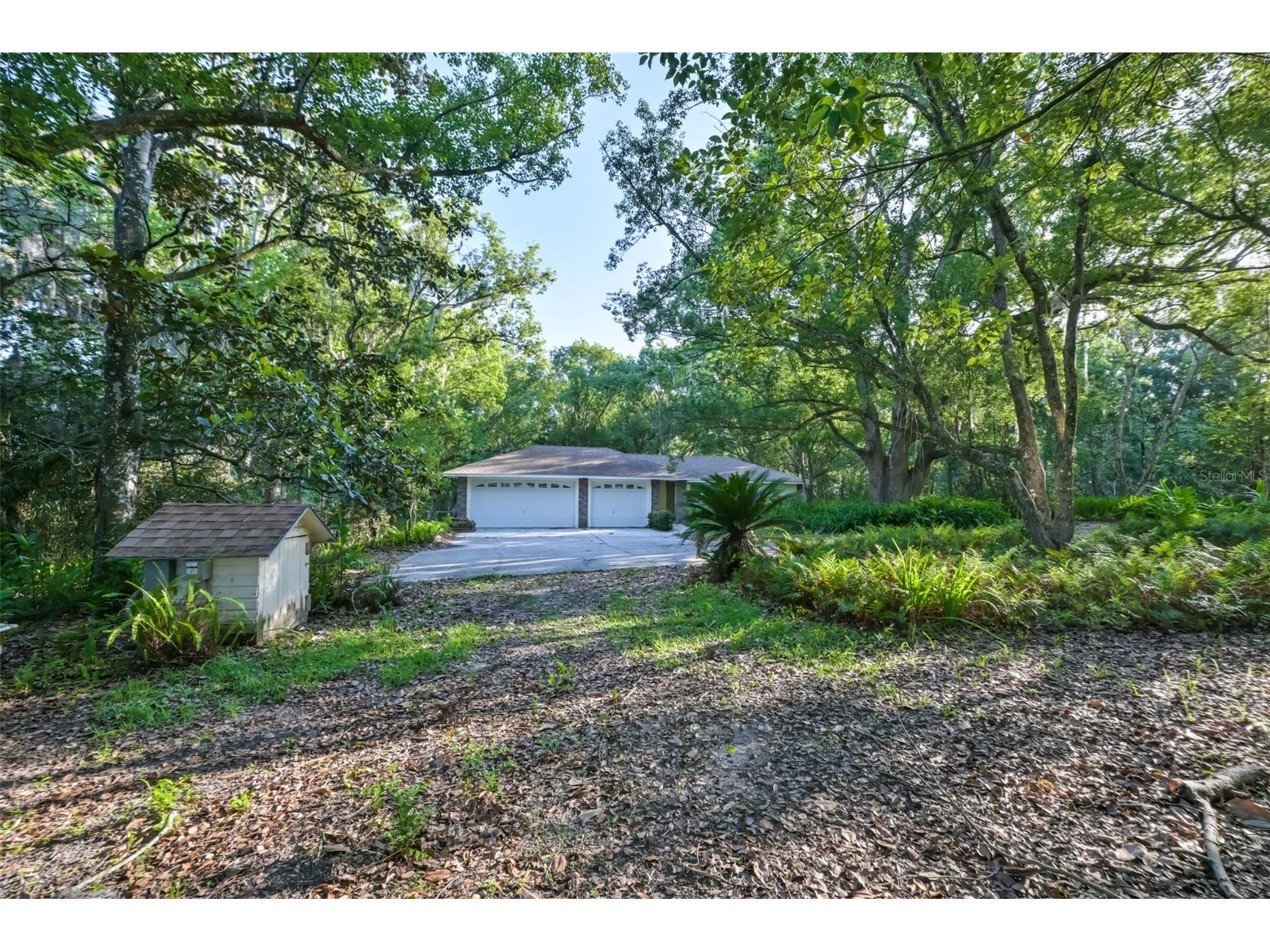 36625 Lake Pasadena Road Dade City FL 33525 TB8516851 image39