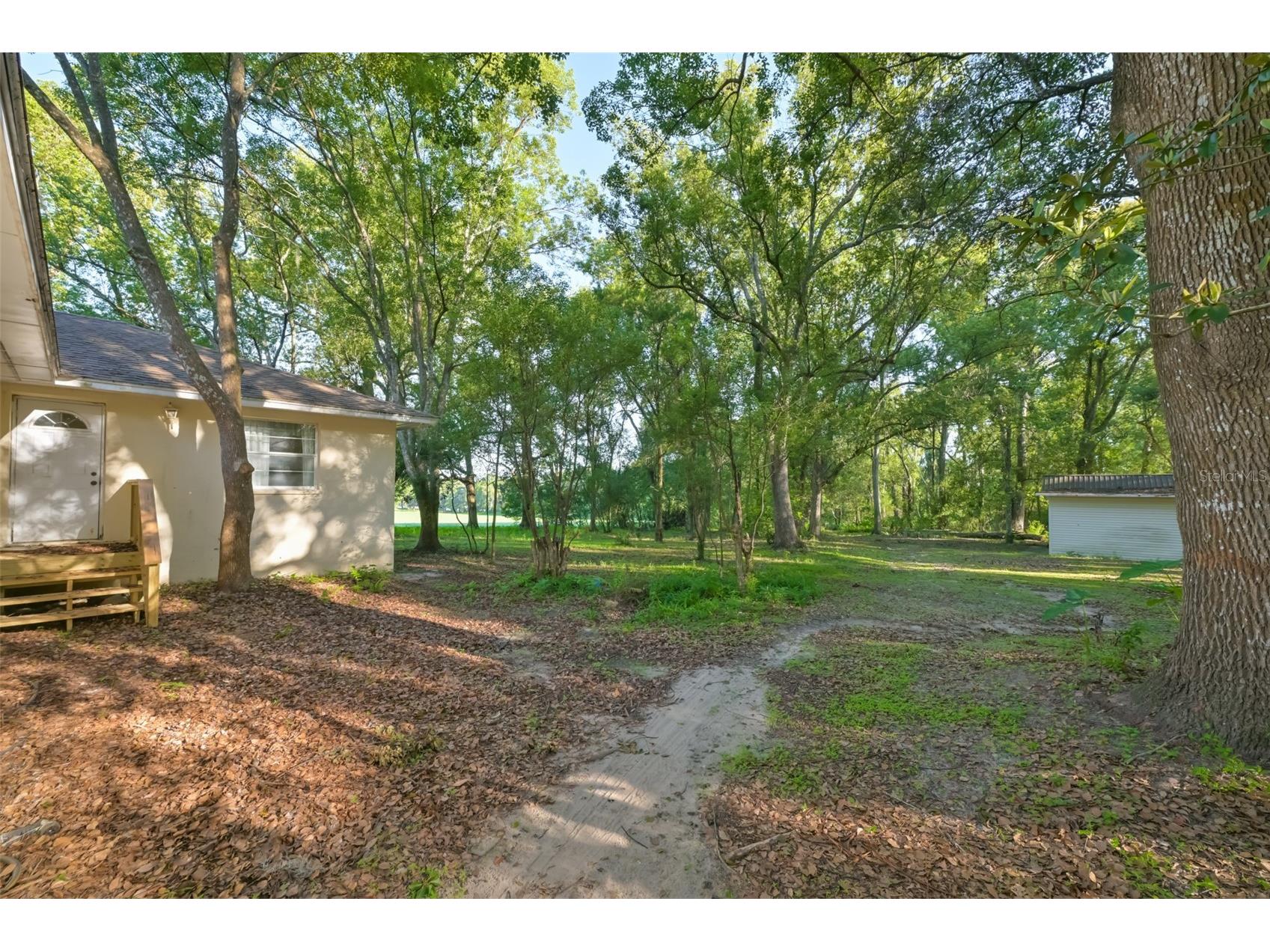 36625 Lake Pasadena Road Dade City FL 33525 TB8516851 image41