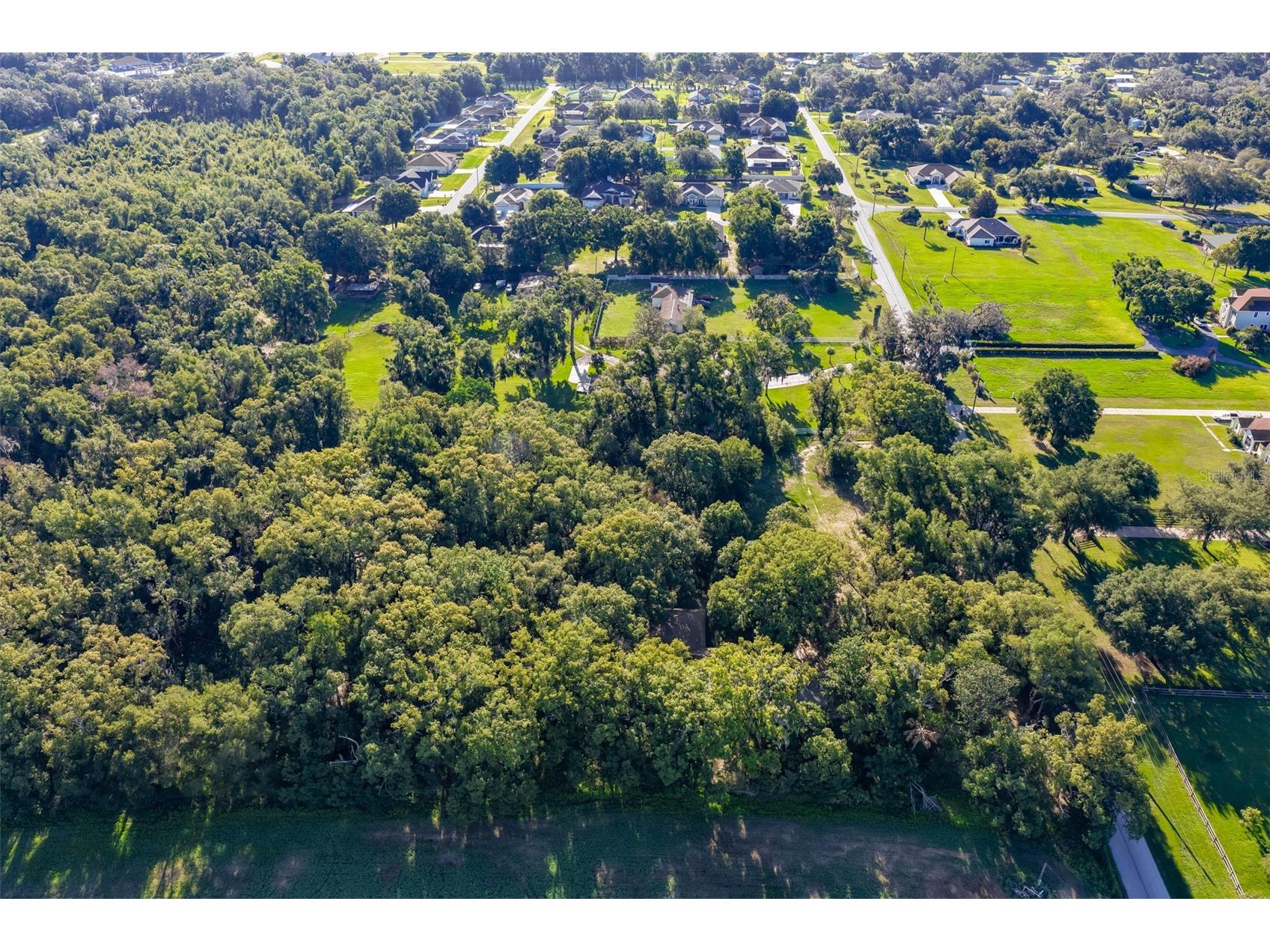 36625 Lake Pasadena Road Dade City FL 33525 TB8516851 image51