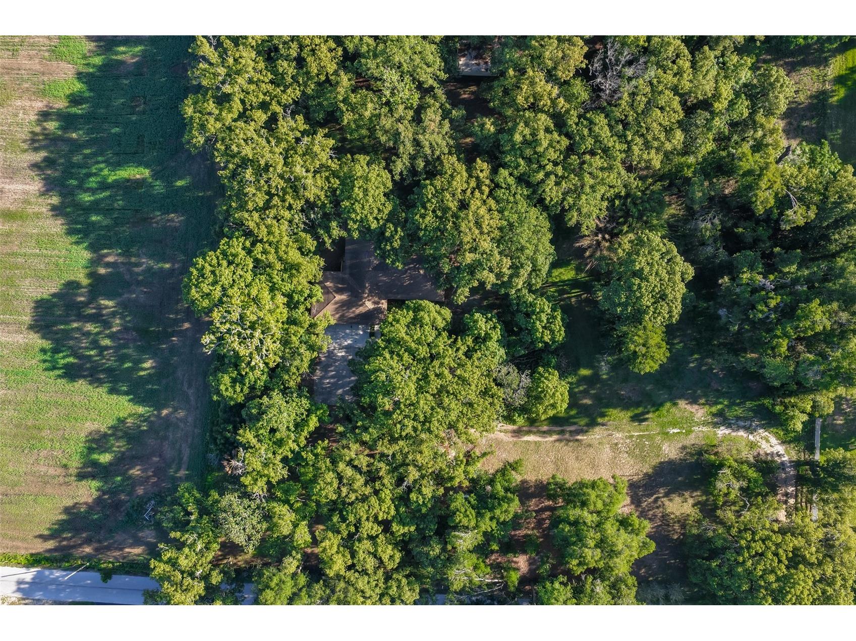 36625 Lake Pasadena Road Dade City FL 33525 TB8516851 image52