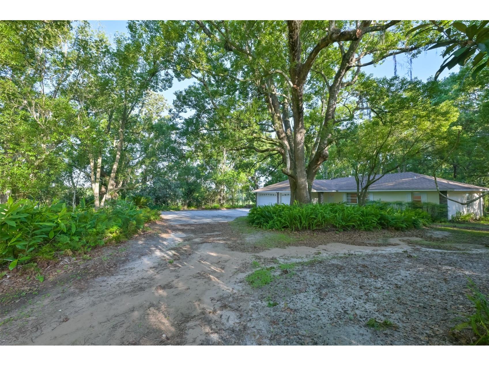 36625 Lake Pasadena Road Dade City FL 33525 TB8516851 image6