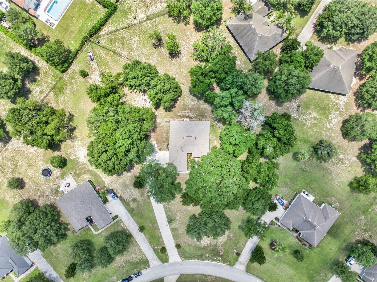 36628 Honey Tree Court Eustis FL 32736 - LAKE BLACK BEAR G5114646 image52