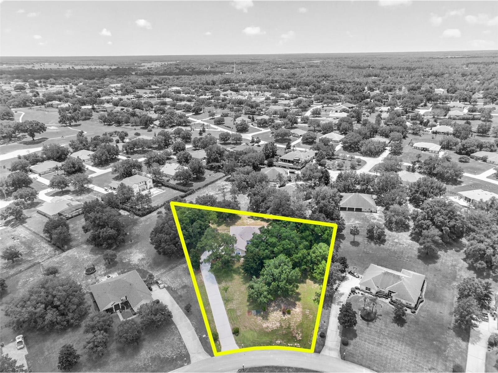 36628 Honey Tree Court Eustis FL 32736 - LAKE BLACK BEAR G5114646 image55
