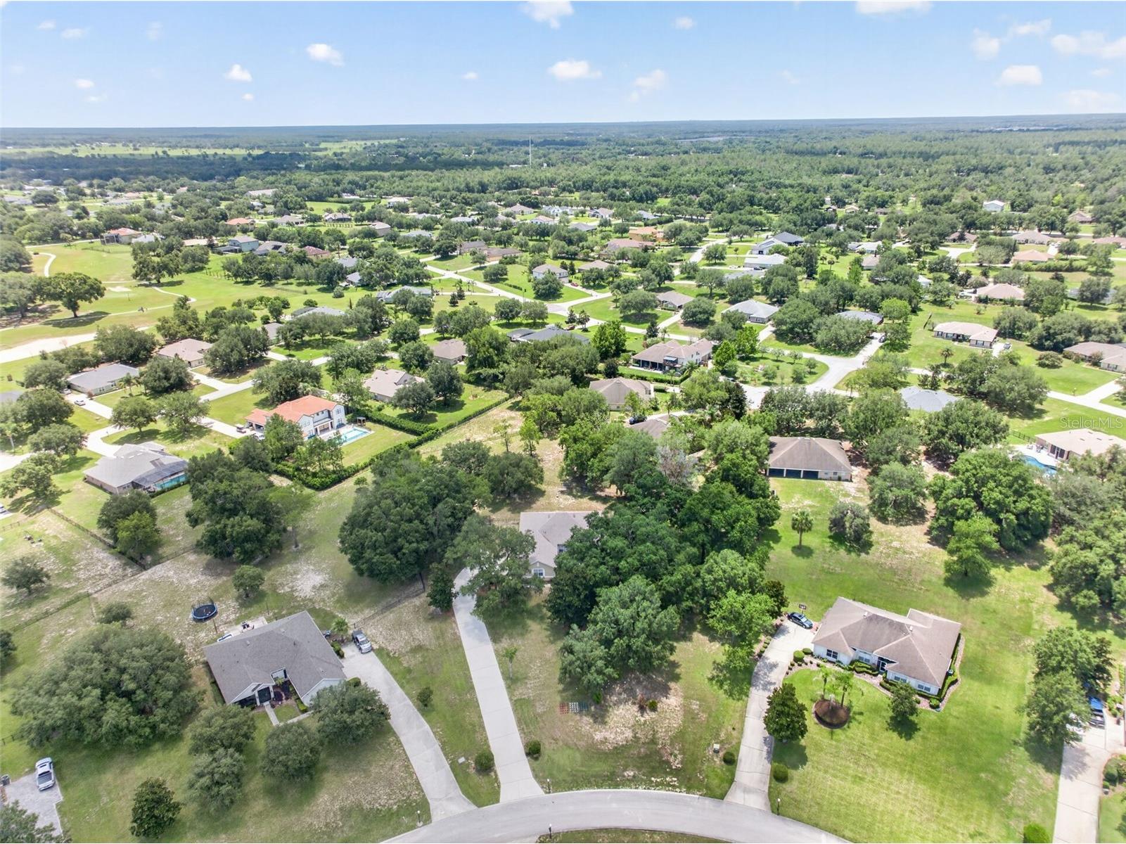 36628 Honey Tree Court Eustis FL 32736 - LAKE BLACK BEAR G5114646 image57