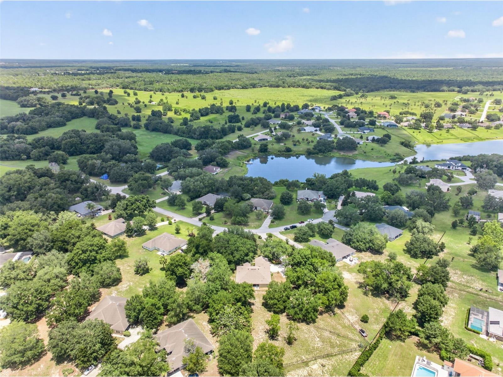 36628 Honey Tree Court Eustis FL 32736 - LAKE BLACK BEAR G5114646 image62