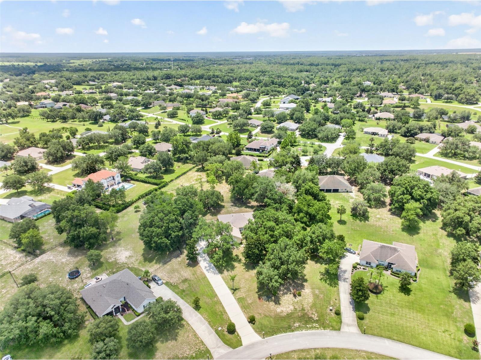 36628 Honey Tree Court Eustis FL 32736 - LAKE BLACK BEAR G5114646 image63