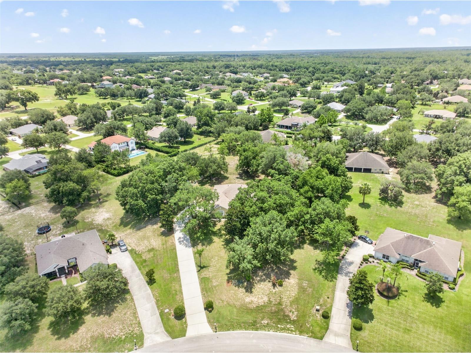 36628 Honey Tree Court Eustis FL 32736 - LAKE BLACK BEAR G5114646 image64