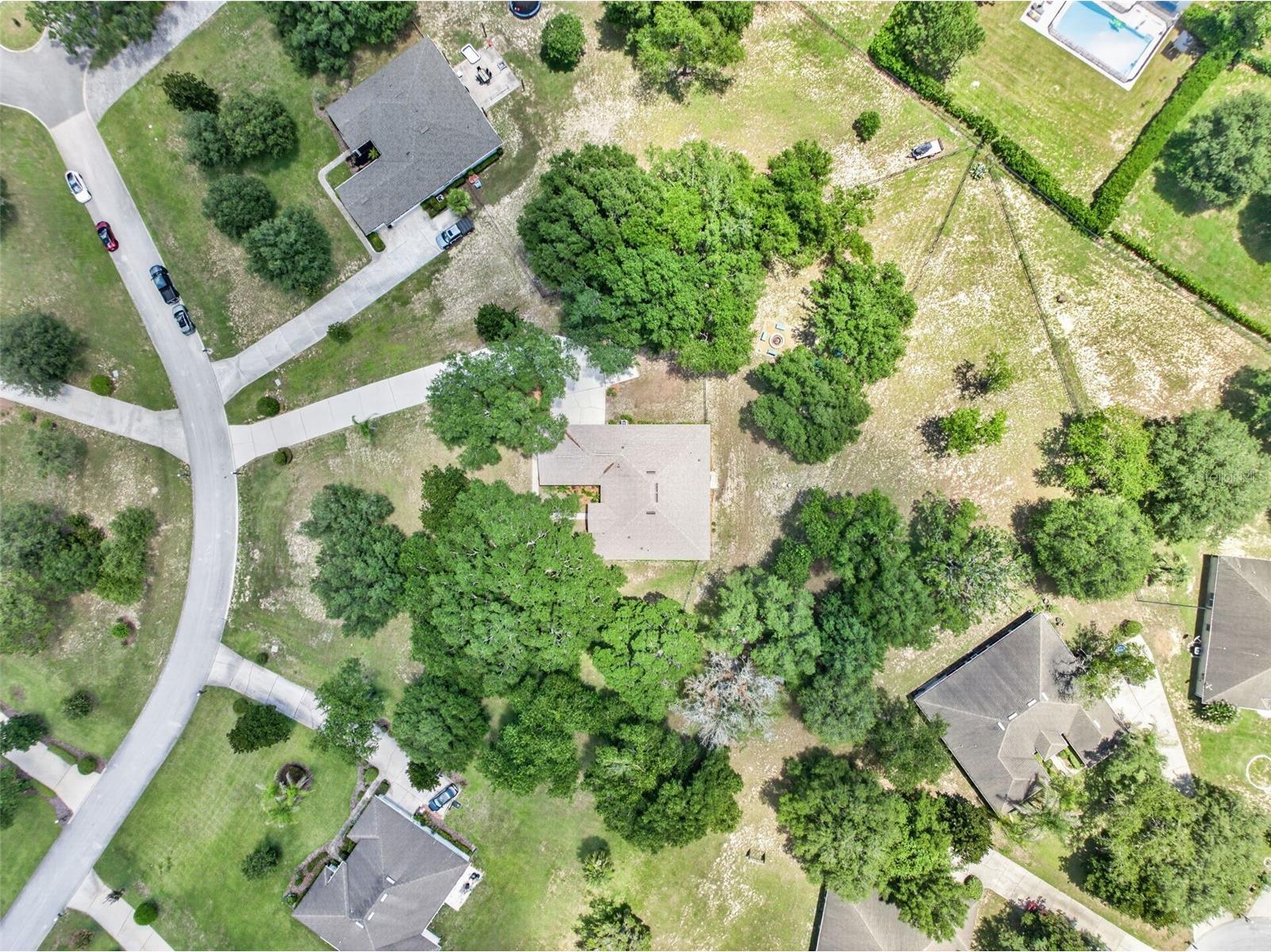 36628 Honey Tree Court Eustis FL 32736 - LAKE BLACK BEAR G5114646 image65