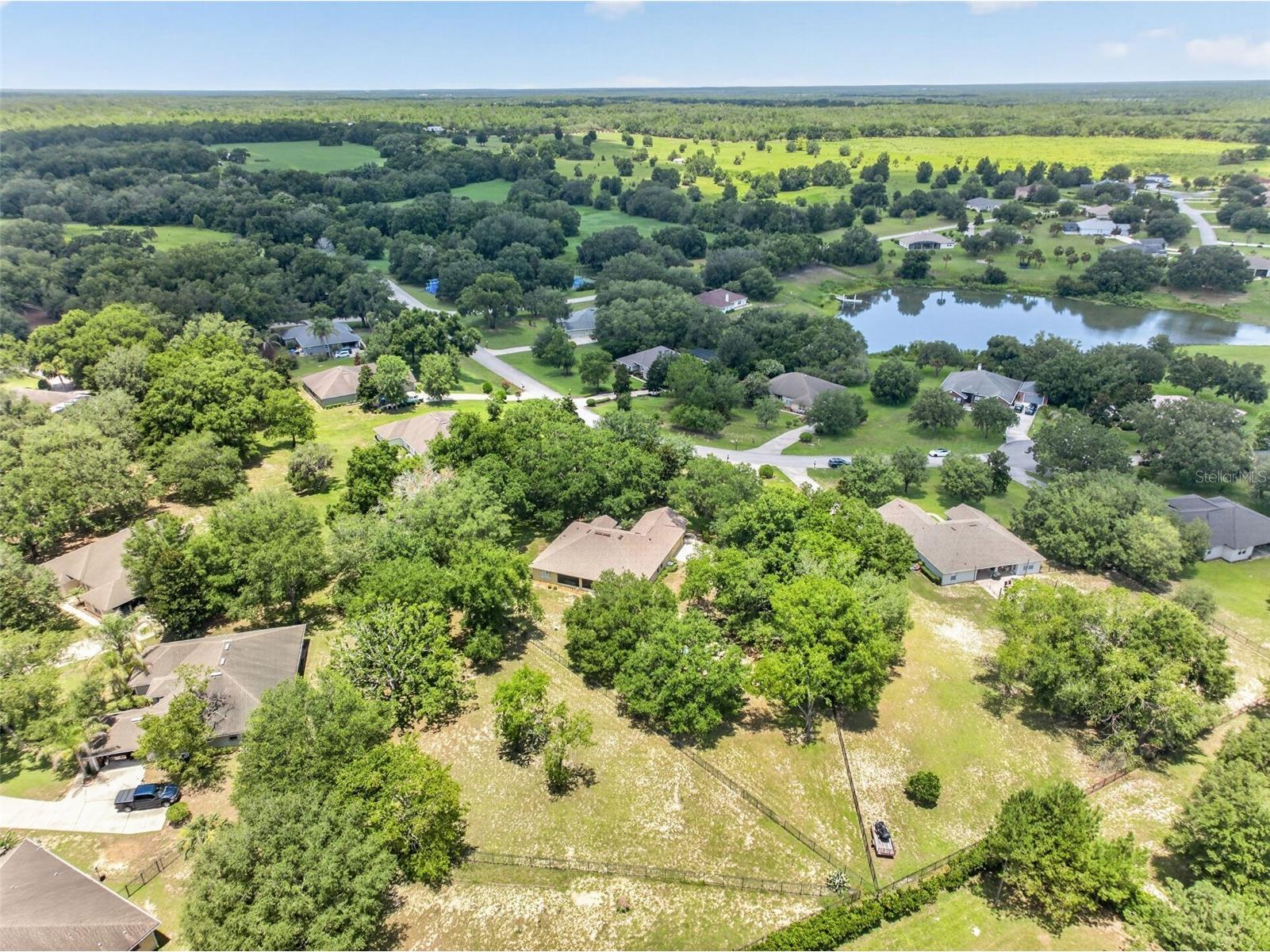 36628 Honey Tree Court Eustis FL 32736 - LAKE BLACK BEAR G5114646 image66