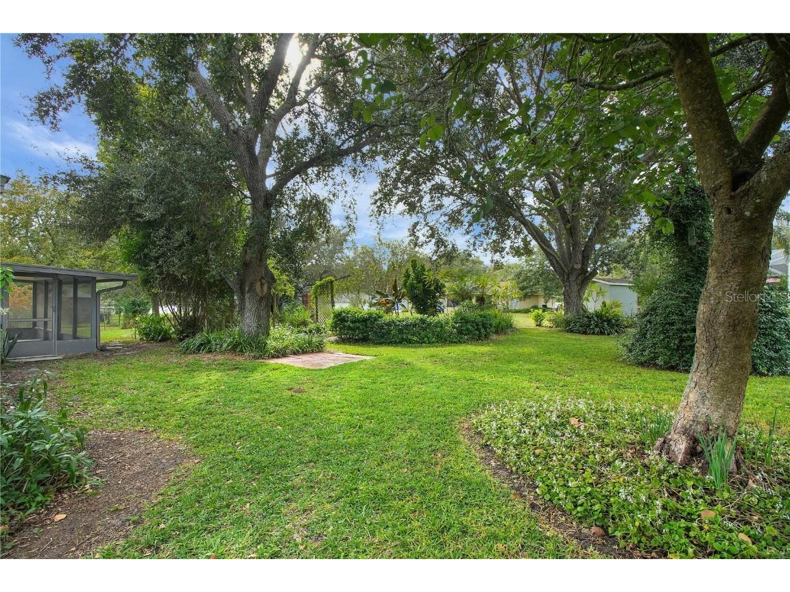 36629 Francis Drive Grand Island FL 32735 G5104243 image12