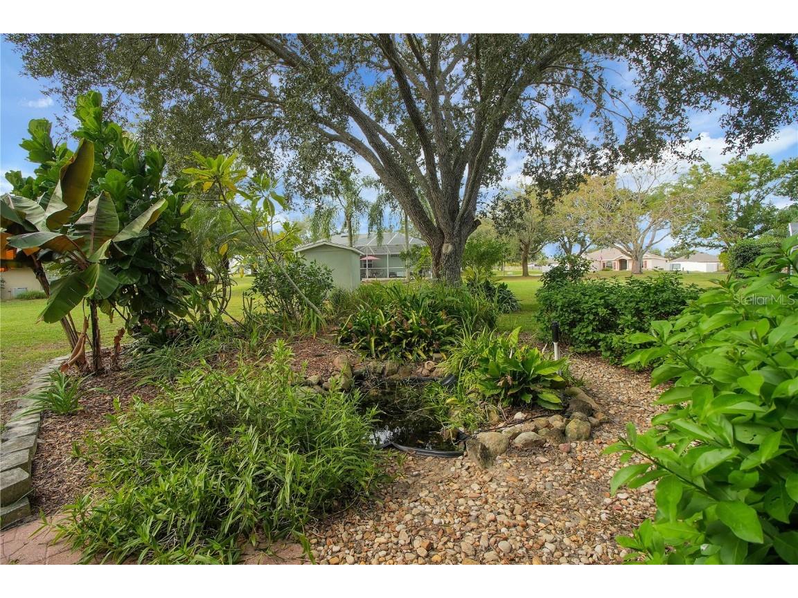 36629 Francis Drive Grand Island FL 32735 G5104243 image13