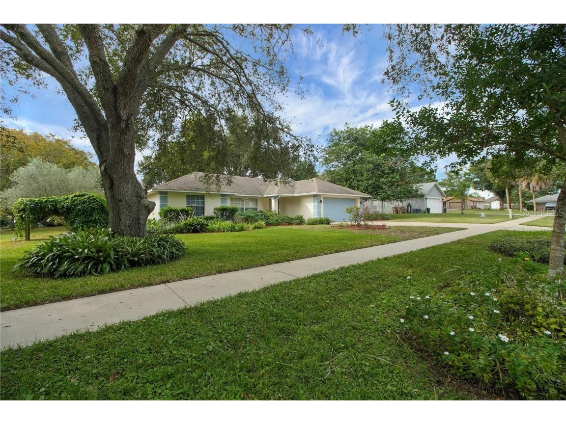 36629 Francis Drive Grand Island FL 32735 G5104243 image35