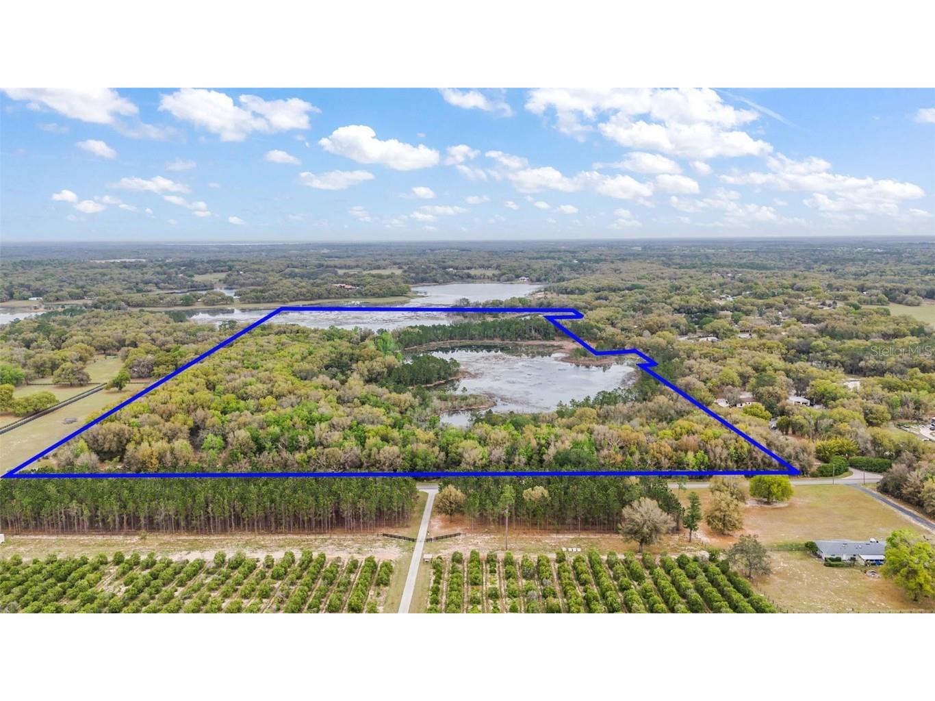 3663 Griffin View Drive Lady Lake FL 32159 - Lady Lake G5078728 image1