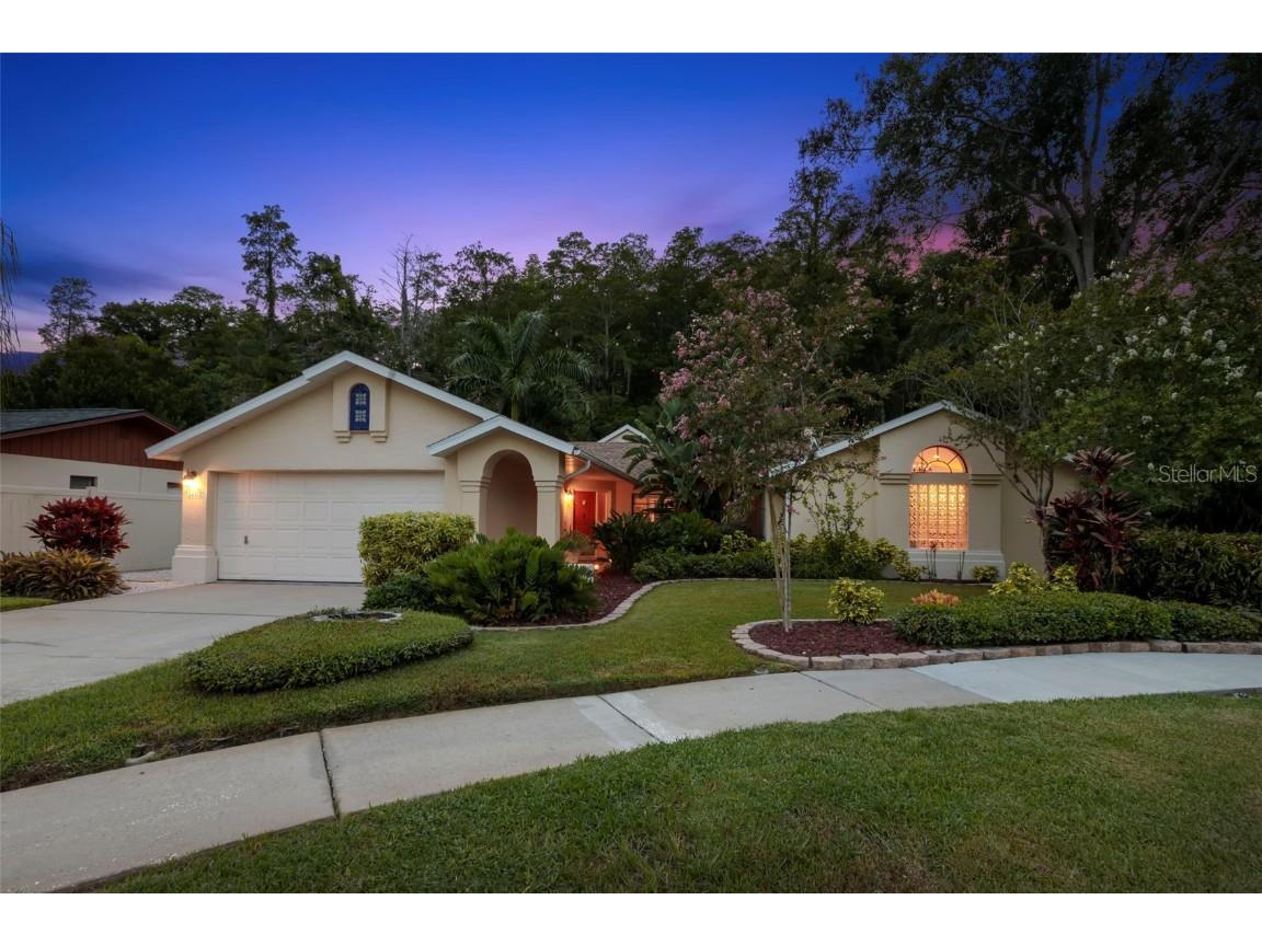 3663 Rusty Grackle Drive Palm Harbor FL 34683 T3545874 image1