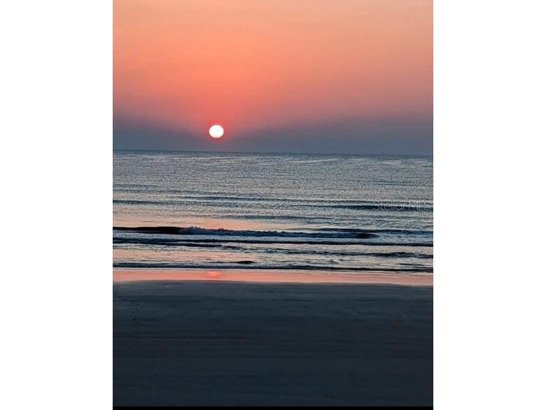 3663 S Atlantic Avenue #11B New Smyrna Beach FL 32169 O6374319 image49