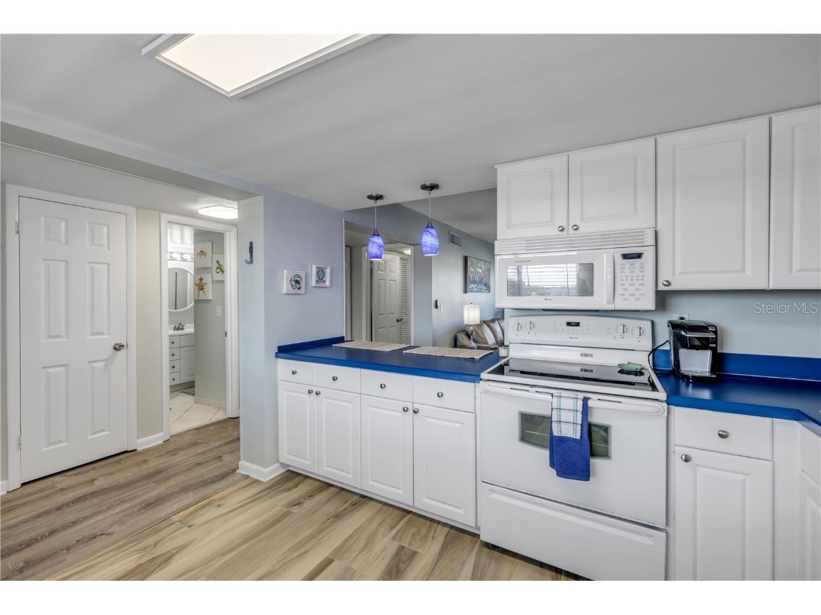 3663 S Atlantic Avenue #33B New Smyrna Beach FL 32169 NS1086299 image10