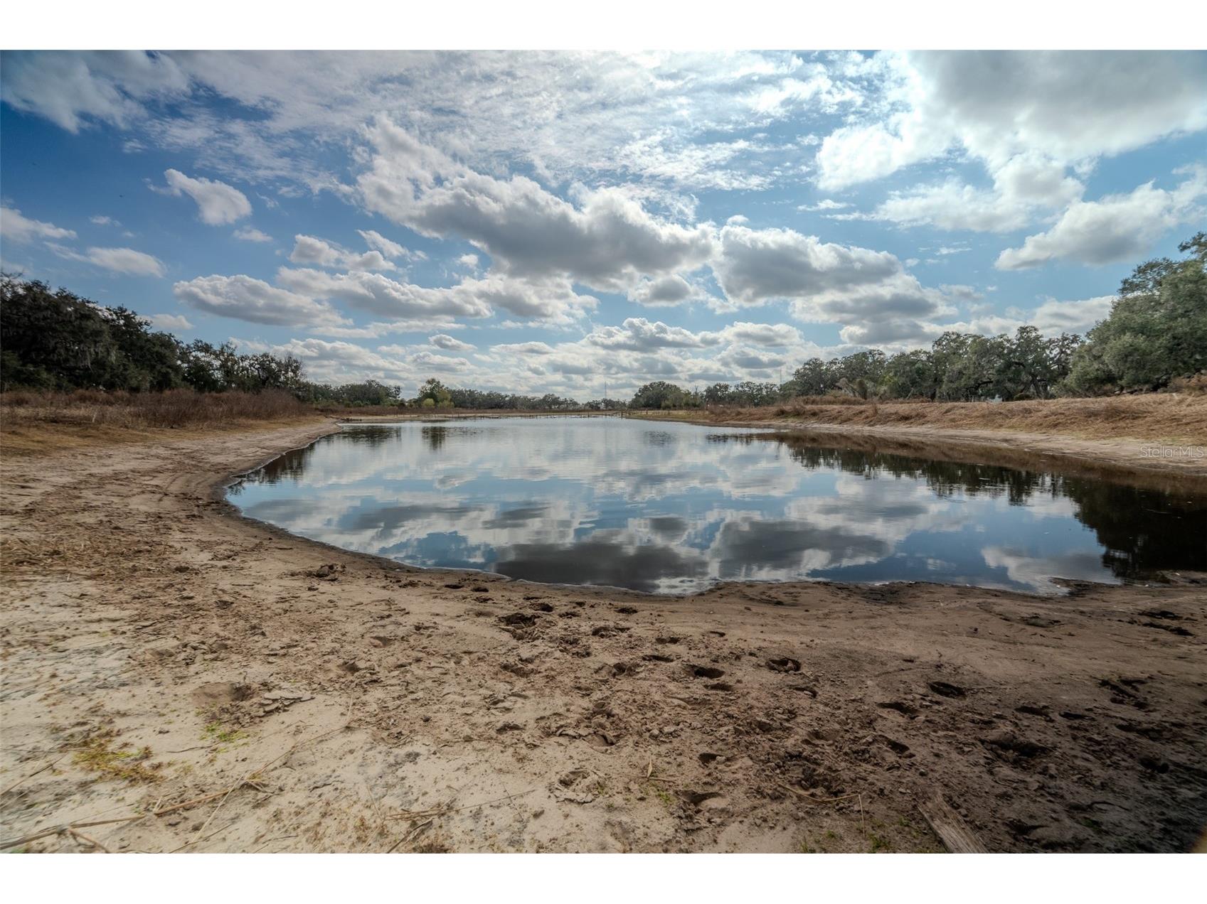 36630 Sunshine Road Zephyrhills FL 33541 TB8468721 image20