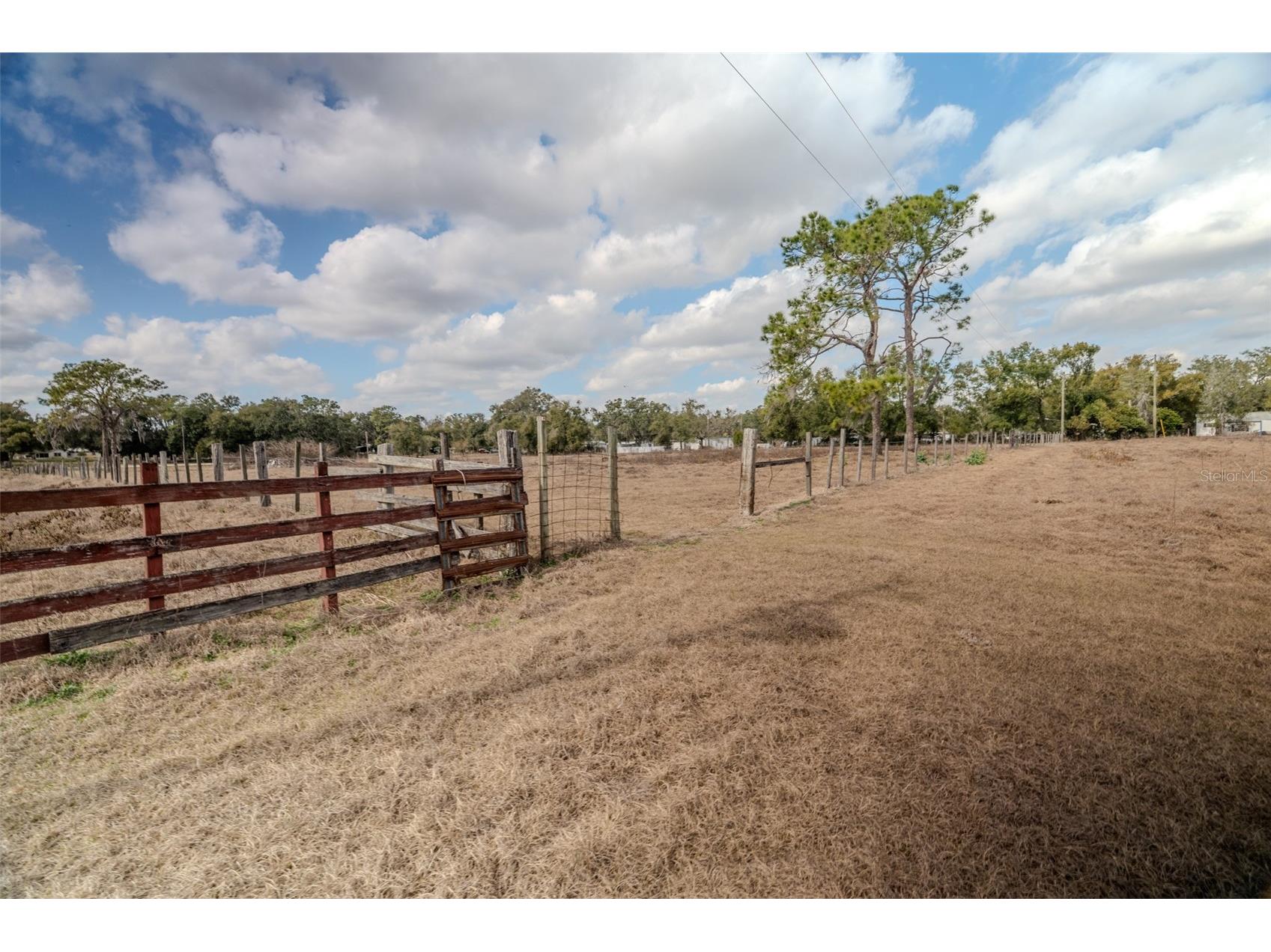 36630 Sunshine Road Zephyrhills FL 33541 TB8468721 image6