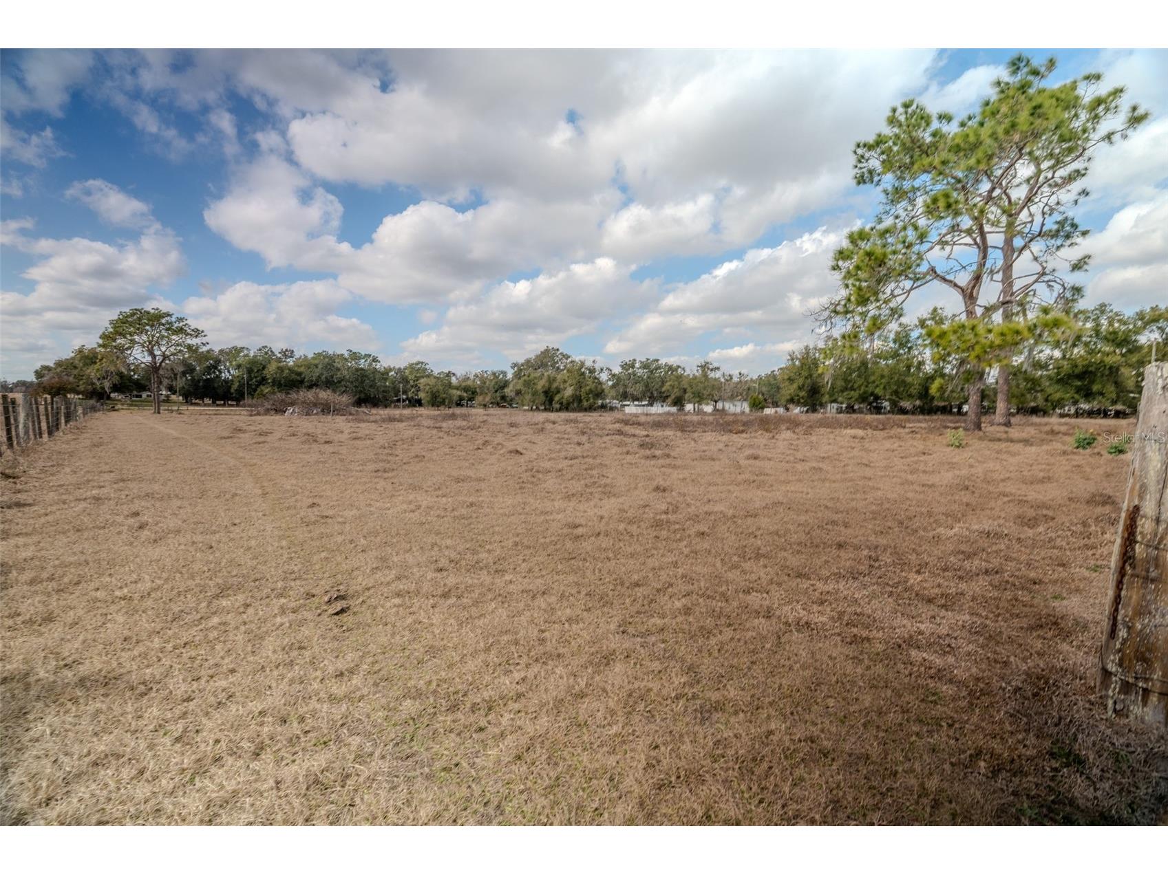 36630 Sunshine Road Zephyrhills FL 33541 TB8468721 image7