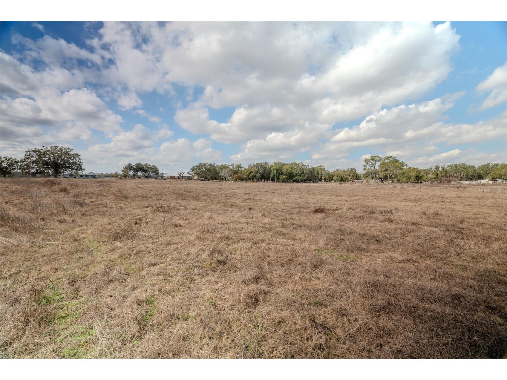 36630 Sunshine Road Zephyrhills FL 33541 TB8468721 image8