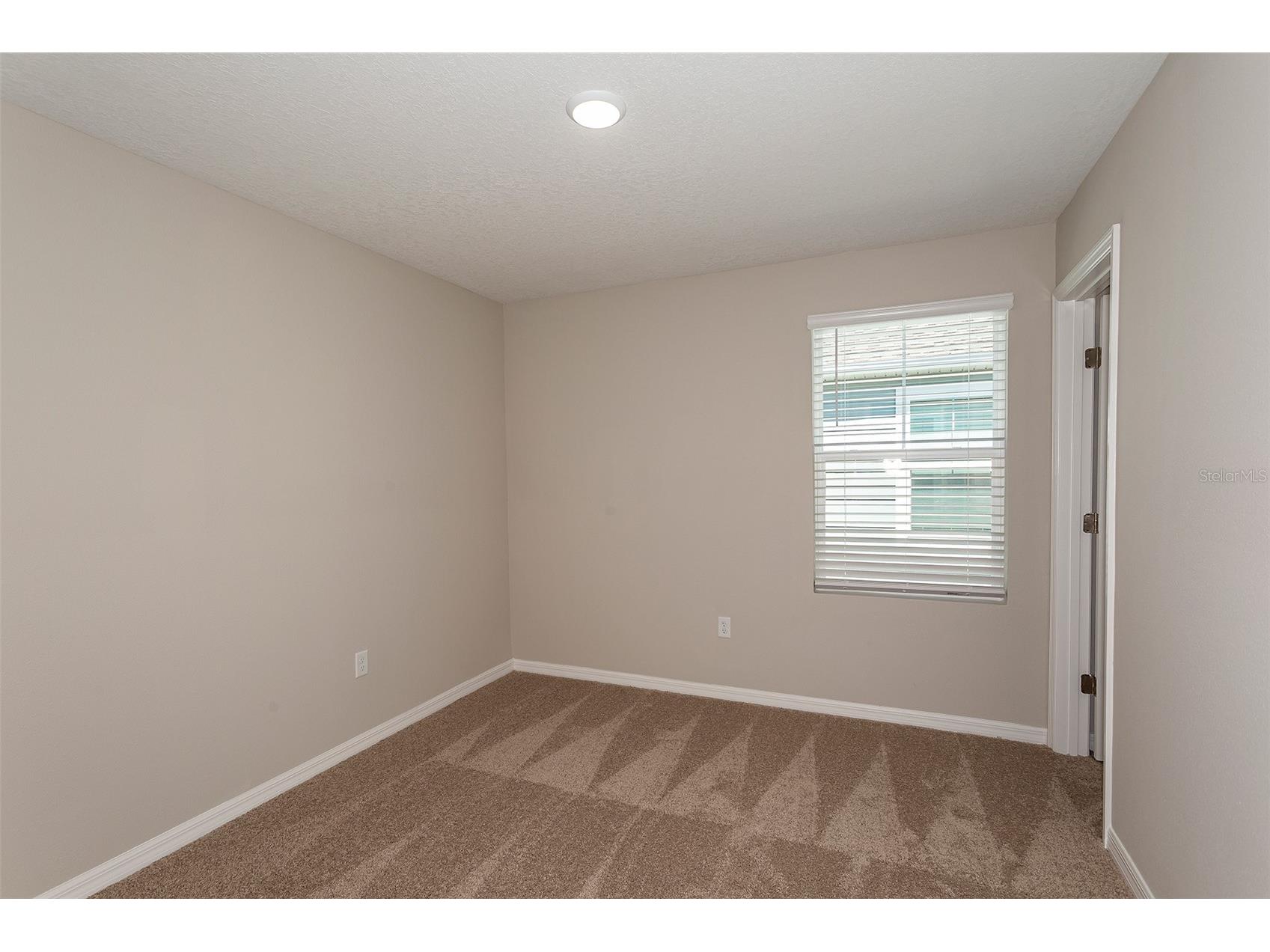 36636 Sagemoor Drive Zephyrhills FL 33541 TB8489654 image19
