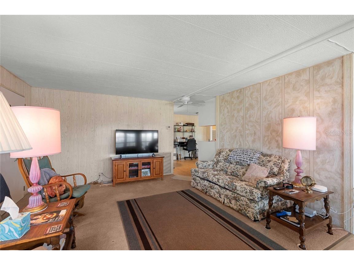 36639 Jodi Avenue Zephyrhills FL 33542 TB8433927 image17