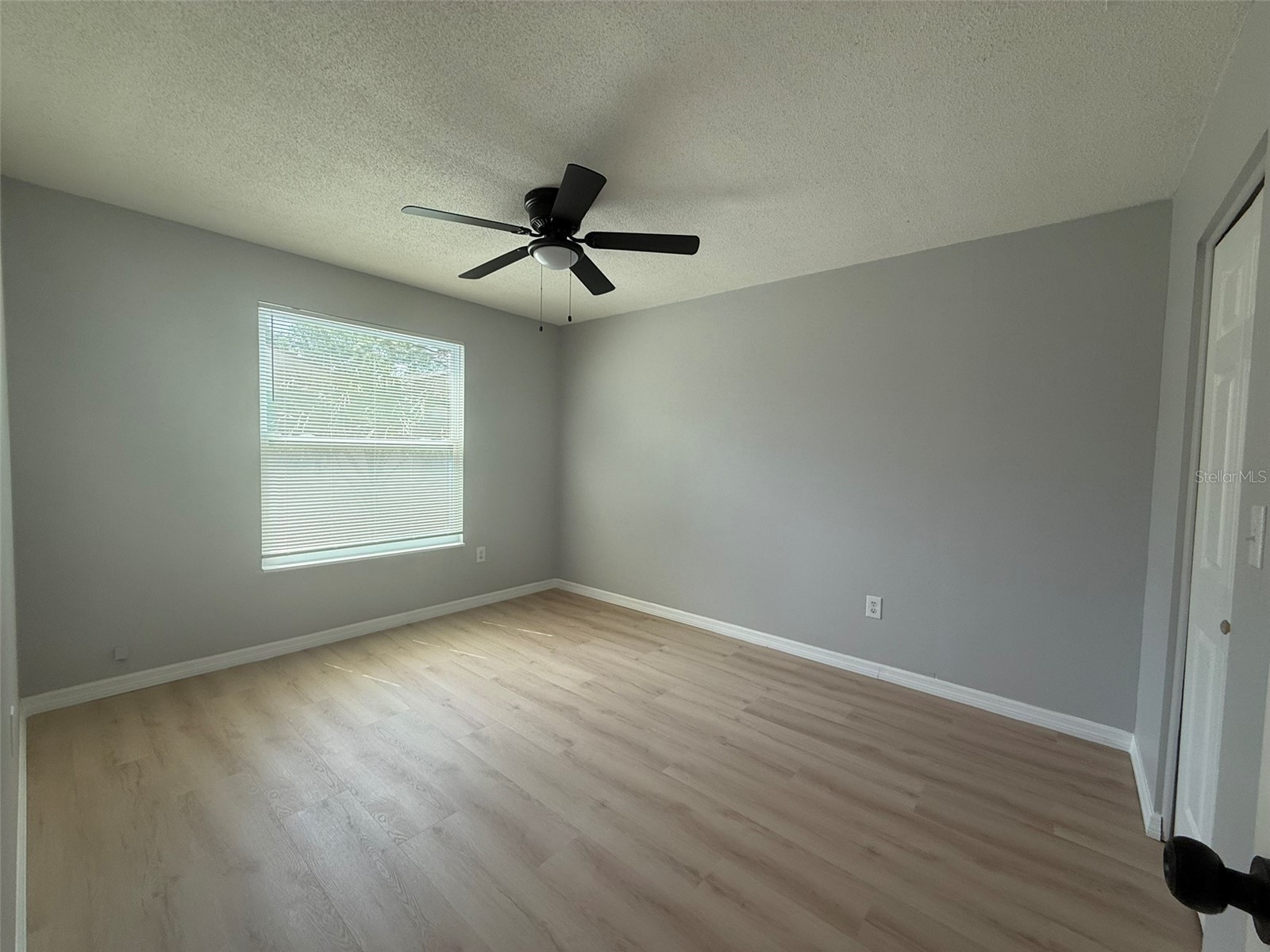 3664 Meriden Avenue Oldsmar FL 34677 W7885202 image10