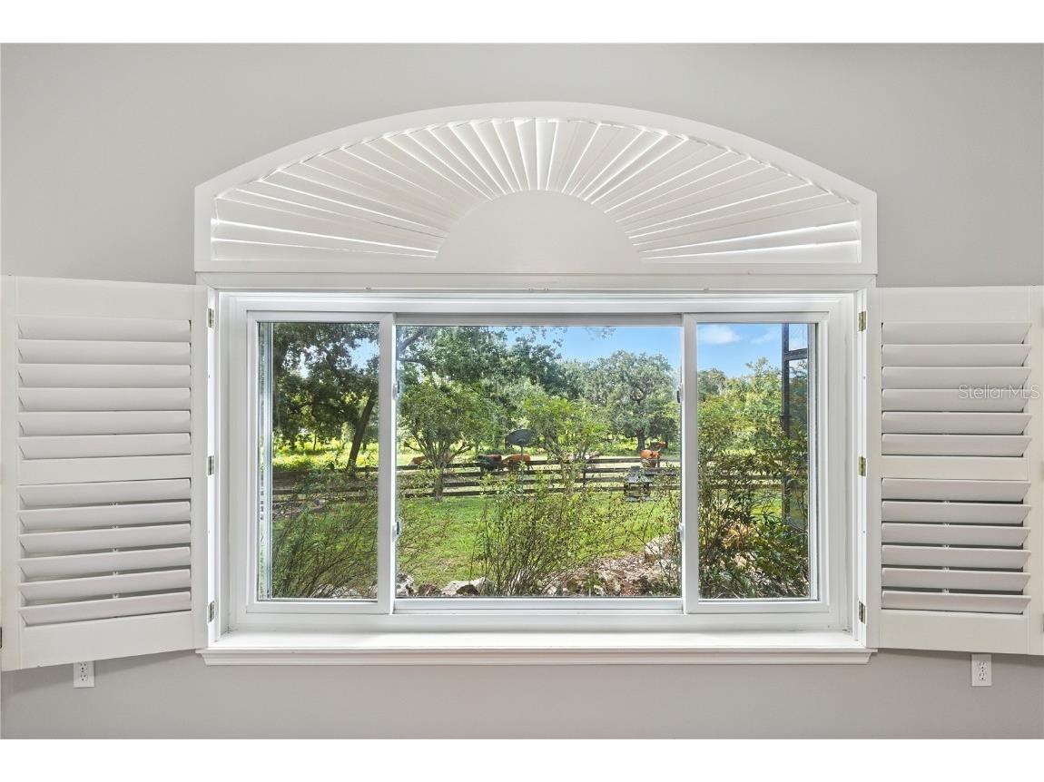 36641 Blanton Road Dade City FL 33523 TB8416703 image13