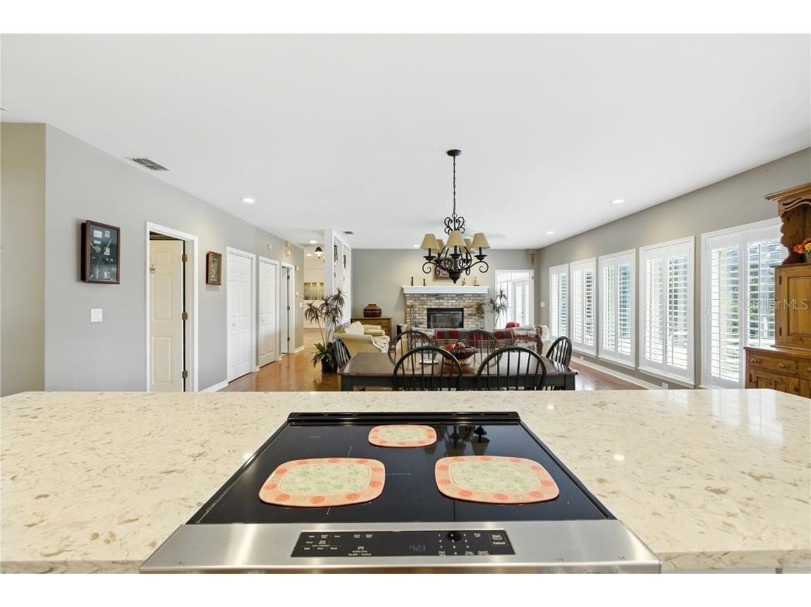 36641 Blanton Road Dade City FL 33523 TB8416703 image24