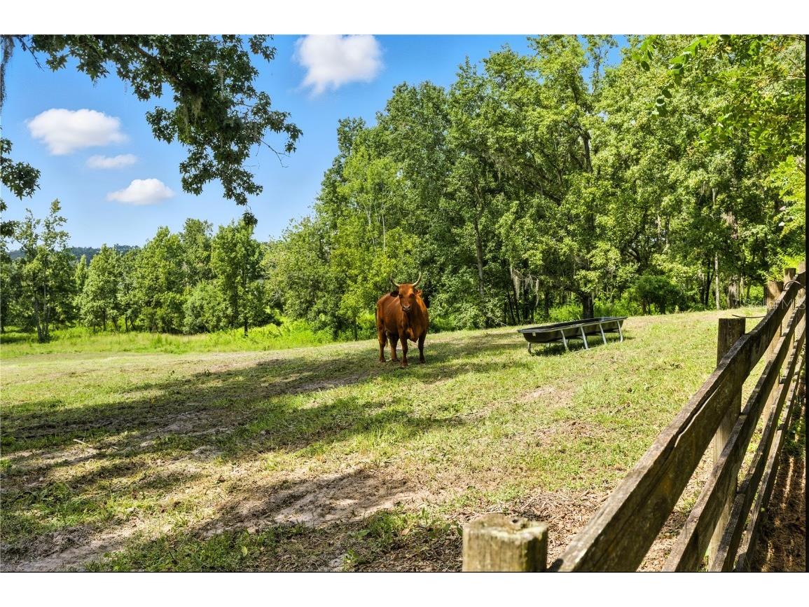 36641 Blanton Road Dade City FL 33523 TB8416703 image47