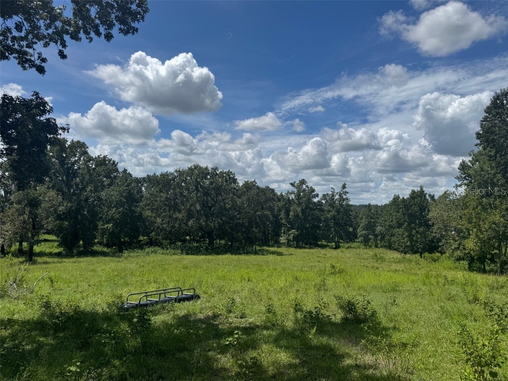 36641 Blanton Road Dade City FL 33523 TB8416703 image48