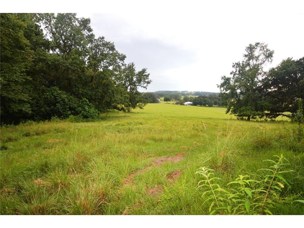 36641 Blanton Road Dade City FL 33523 TB8416703 image57