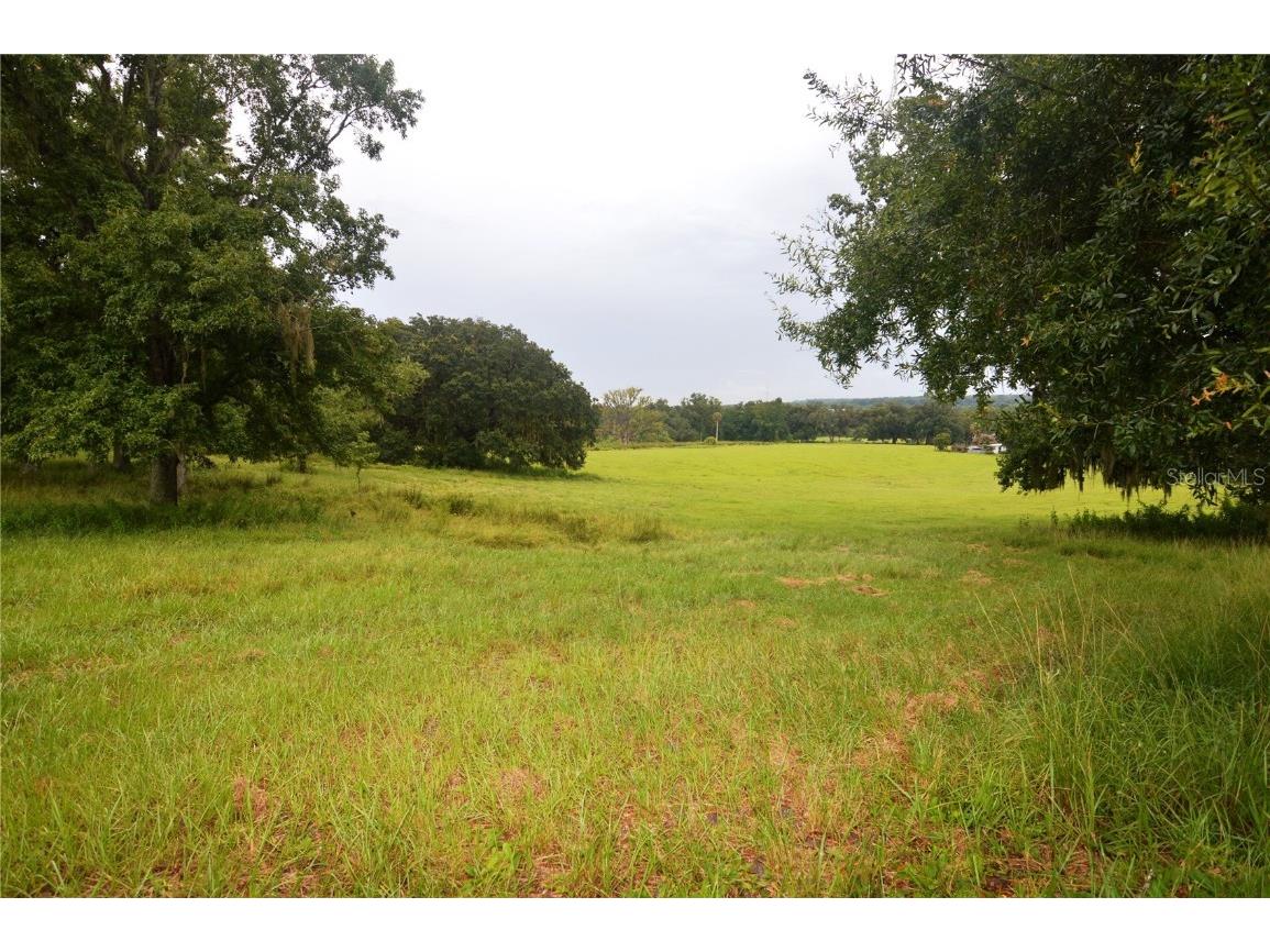 36641 Blanton Road Dade City FL 33523 TB8416703 image58