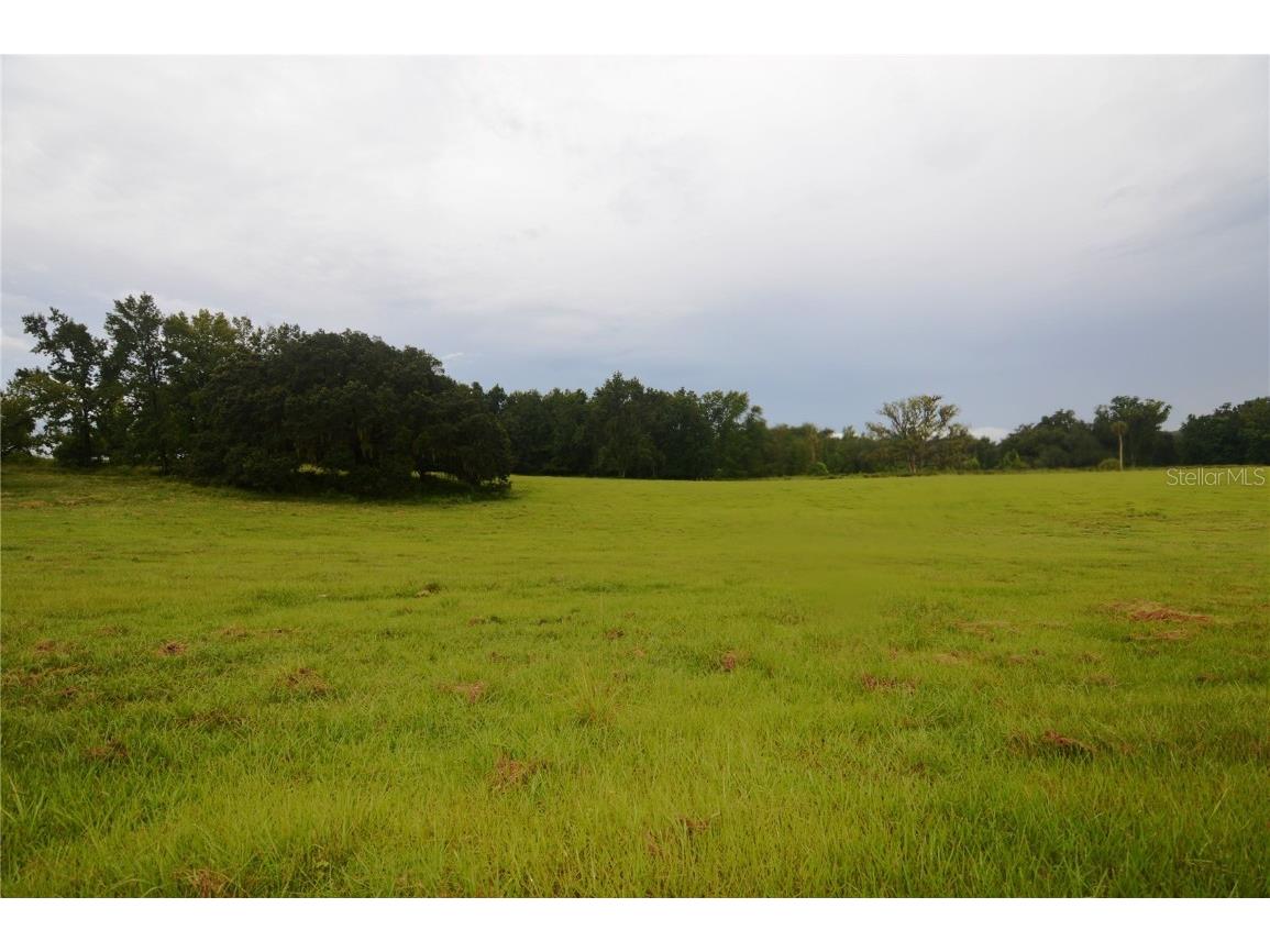 36641 Blanton Road Dade City FL 33523 TB8416703 image59