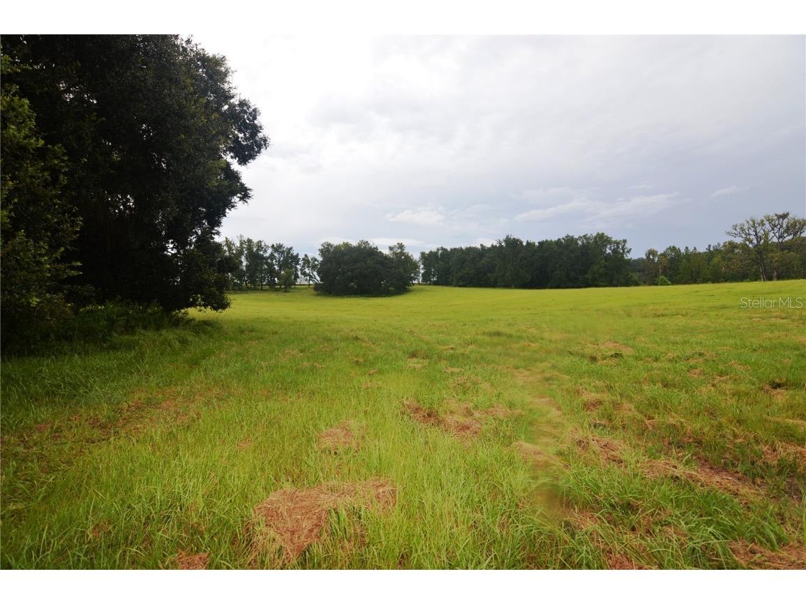 36641 Blanton Road Dade City FL 33523 TB8416703 image60