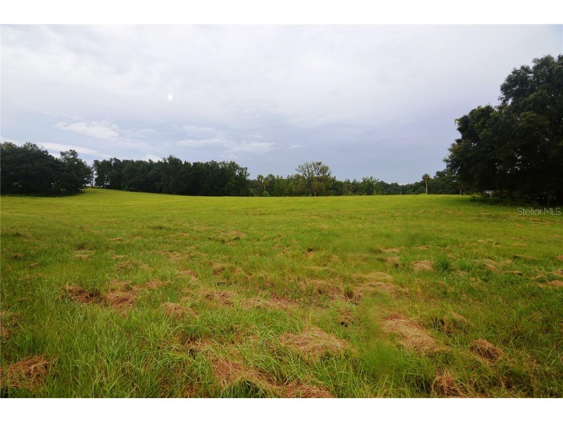 36641 Blanton Road Dade City FL 33523 TB8416703 image61