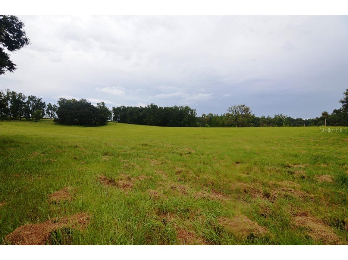 36641 Blanton Road Dade City FL 33523 TB8416703 image62