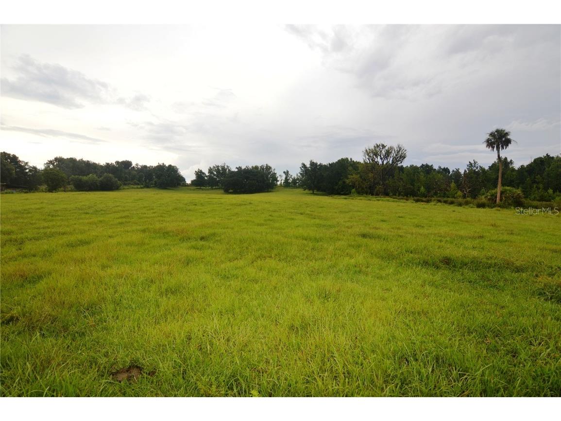 36641 Blanton Road Dade City FL 33523 TB8416703 image64