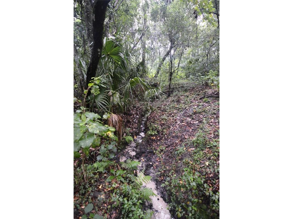 36641 Blanton Road Dade City FL 33523 TB8416703 image65