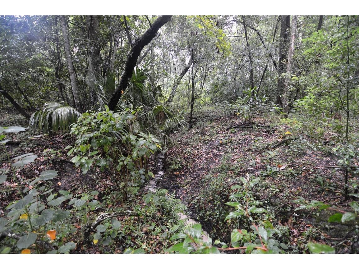 36641 Blanton Road Dade City FL 33523 TB8416703 image66