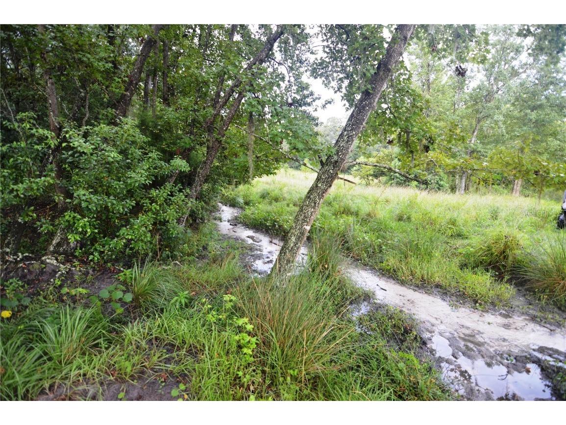 36641 Blanton Road Dade City FL 33523 TB8416703 image67