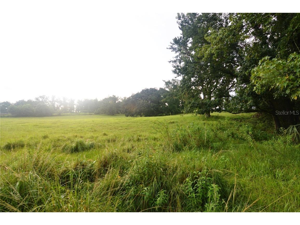 36641 Blanton Road Dade City FL 33523 TB8416703 image68