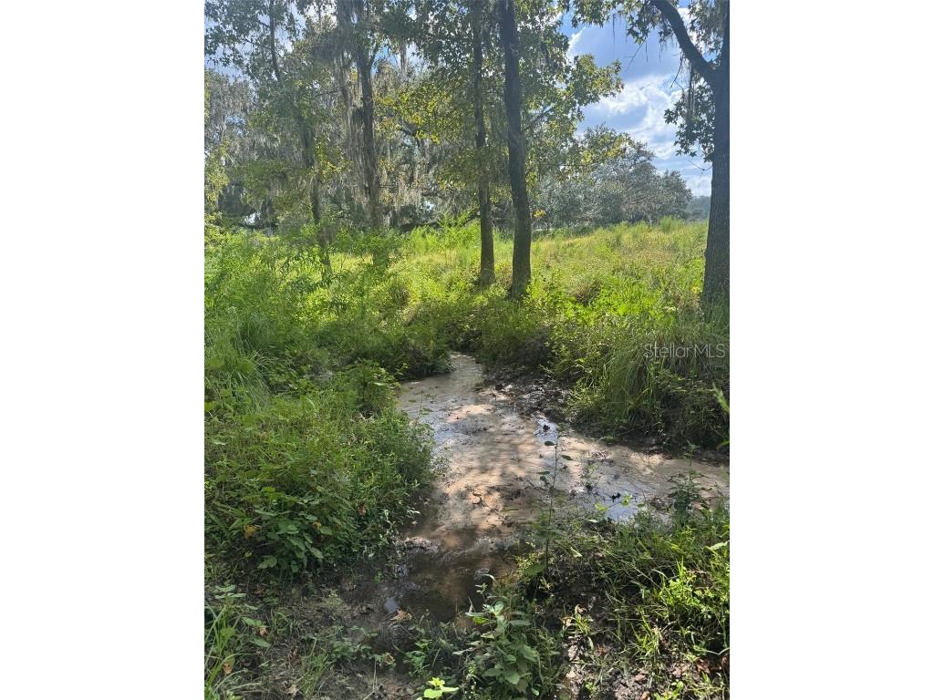 36641 Blanton Road Dade City FL 33523 TB8416703 image69